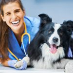 Por qué es importante tener un seguro veterinario para perros y gatos